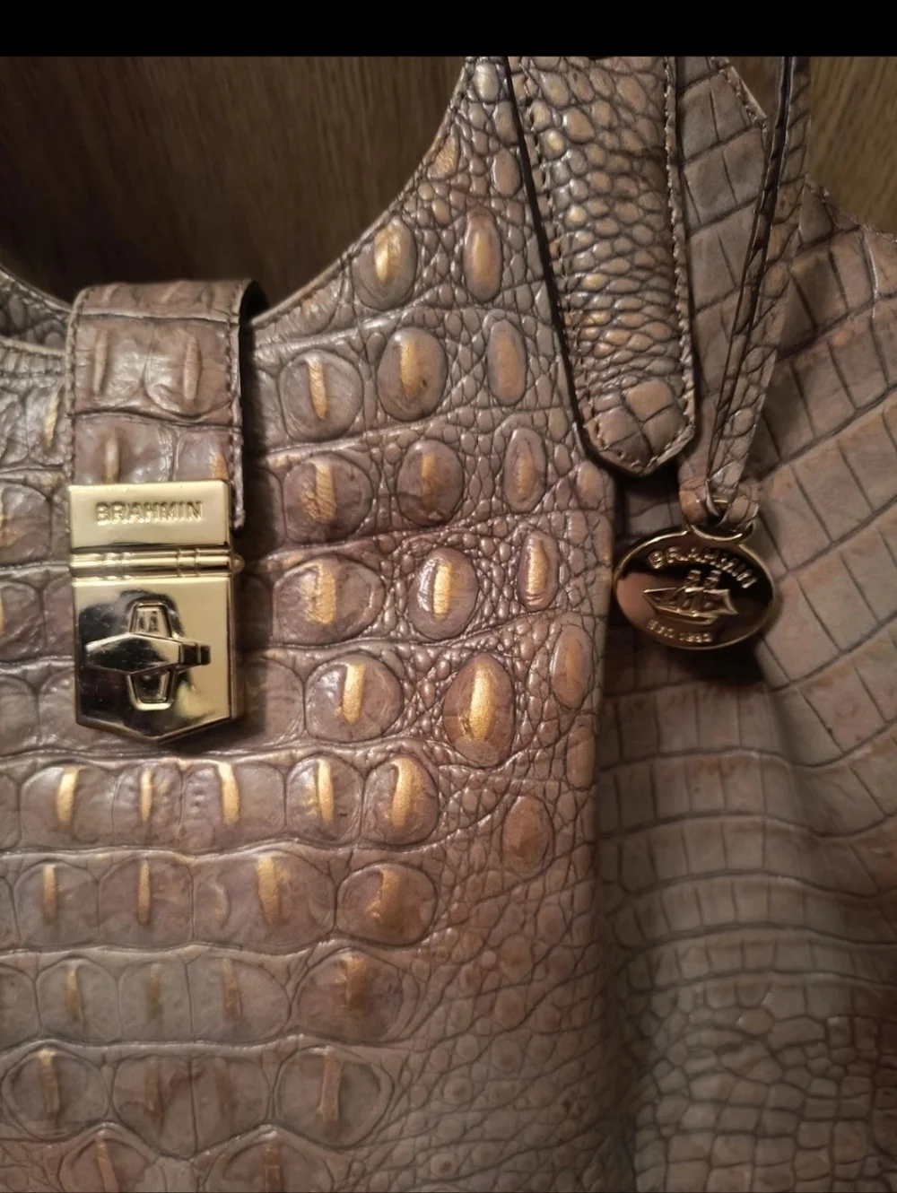 Brahmin Melbourne Crocodile Embossed Leather Hobo Bag Toasted Ombre EUC